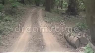在Amazing森林的<strong>越野车</strong>道上行驶。 <strong>越野车</strong>里的诡异视频。